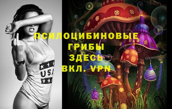 прущие грибы Протвино