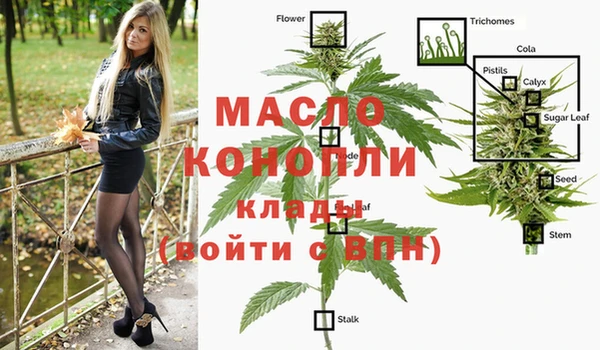 прущие грибы Протвино