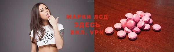 крисы Абаза