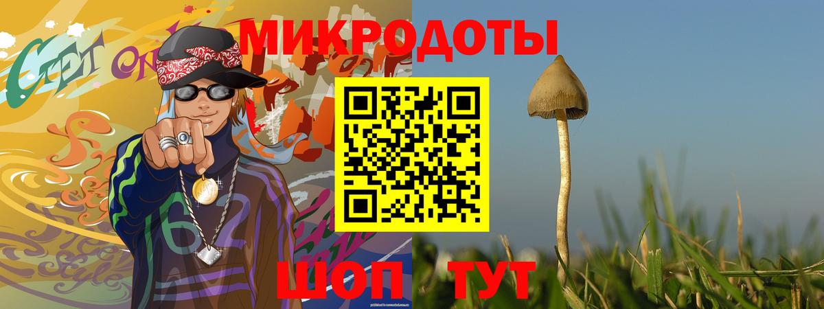 Псилоцибиновые грибы Cubensis  Вход с VPN  Псилоцибиновые грибы мухоморы  Отрадный 